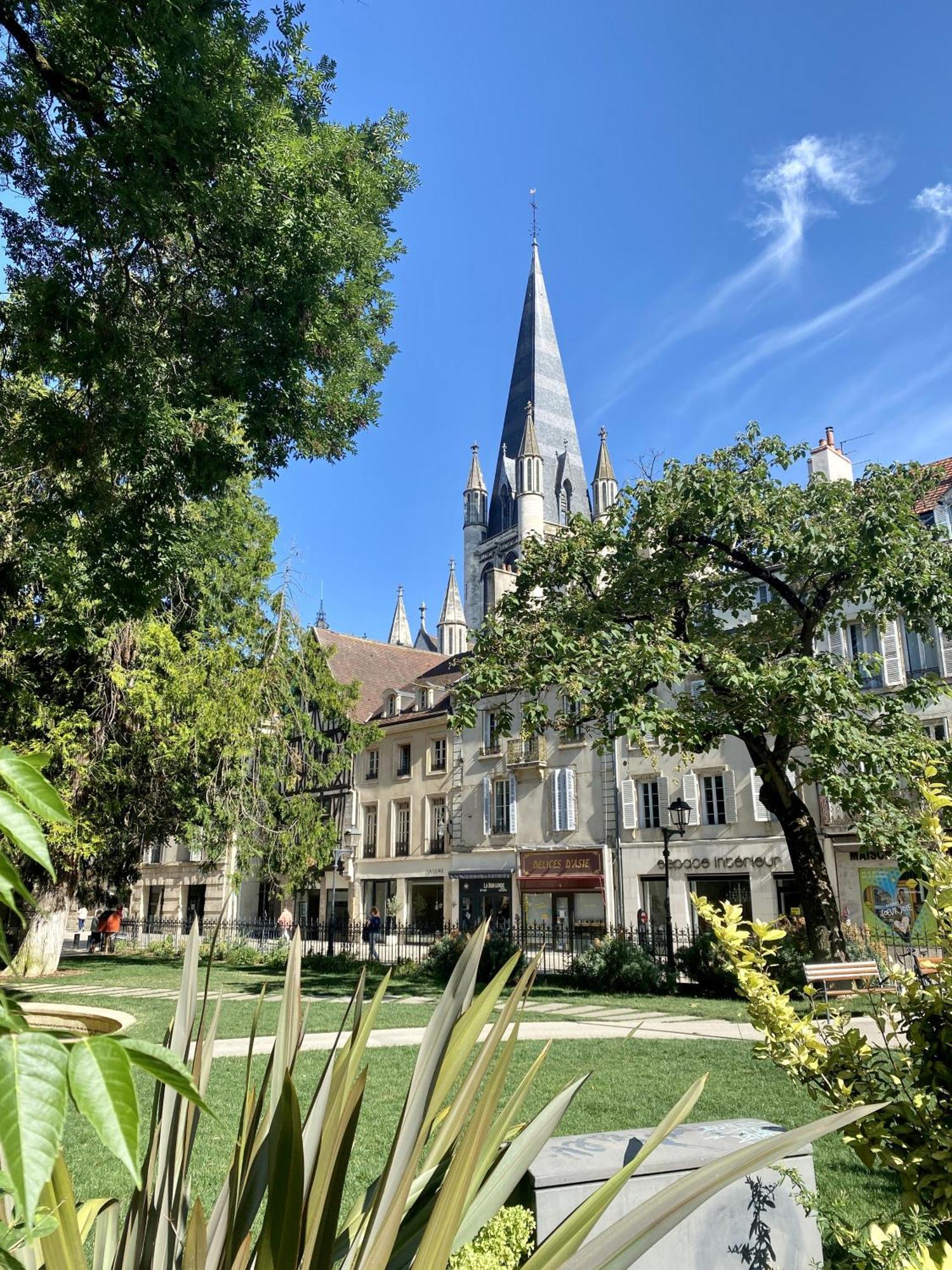 Le Rousseau - Appartement & Suite En Hypercentre Dijon Exterior foto